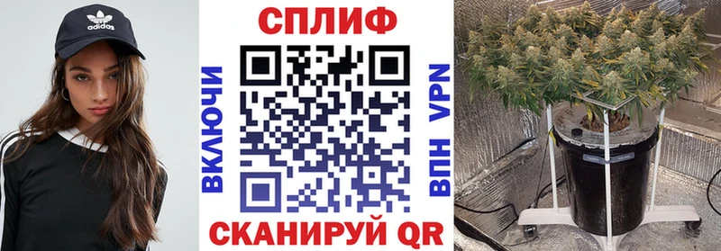 Марихуана сатива  Алагир 
